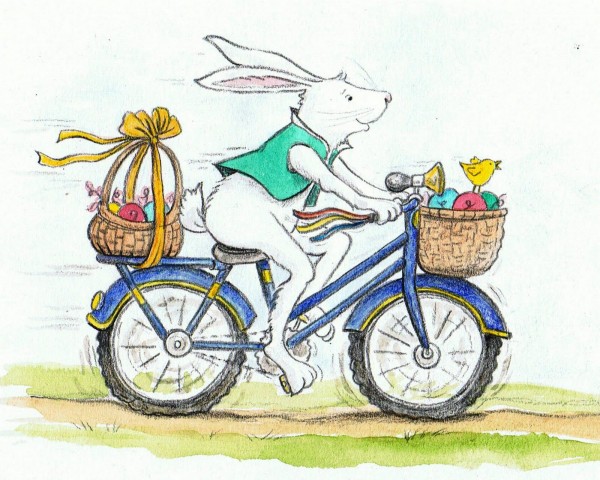 bicycle-bunny