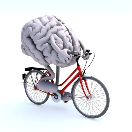 your brain on a bike
